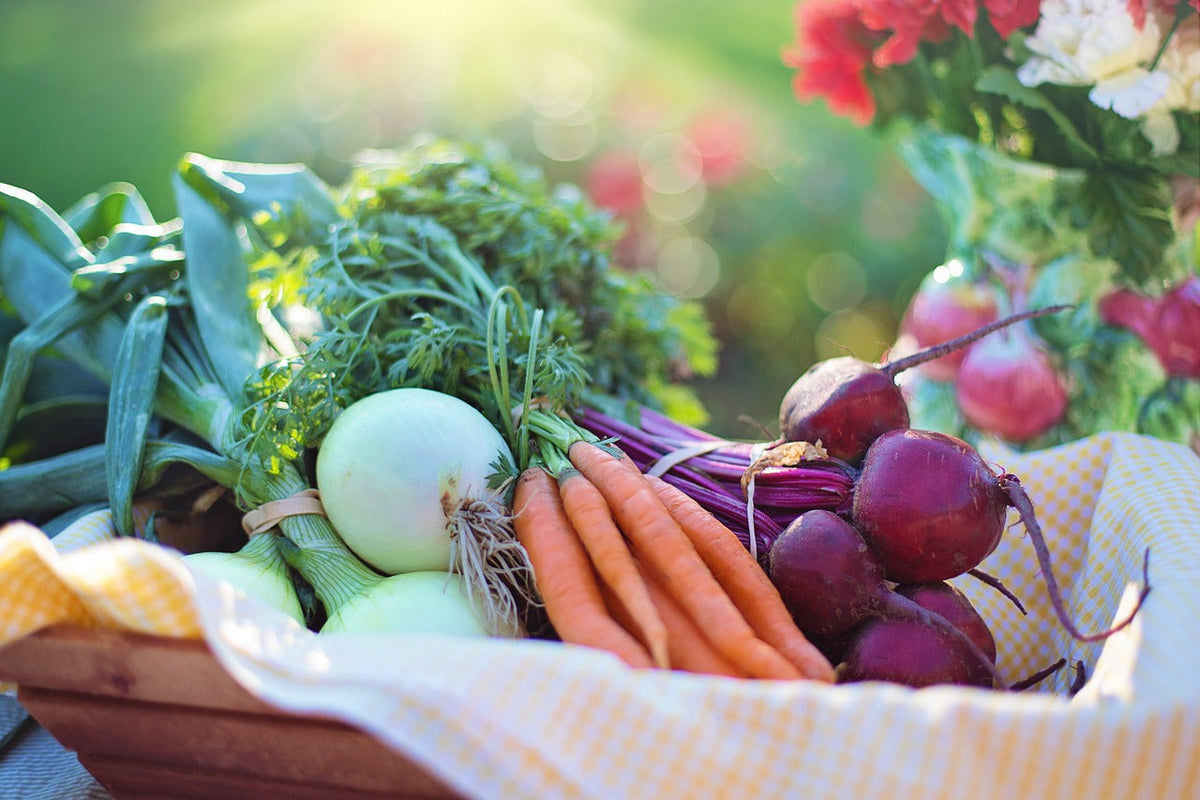 Ernährung bei Hashimoto – Paleo & Maniokmehl als Lösung