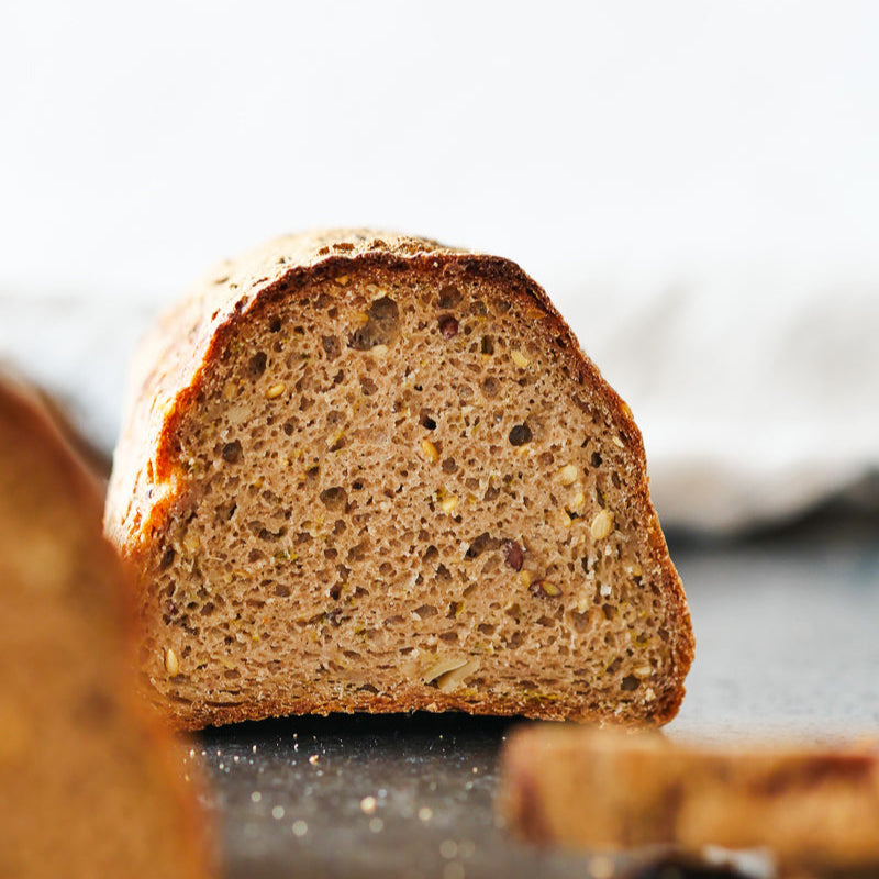 Tégument de Psyllium en Poudre